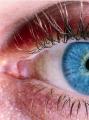 Что означают голубые глаза у мужчин и женщин